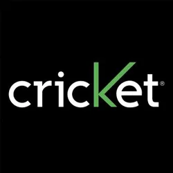 Cricket