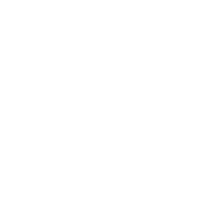 Vivo Unlock