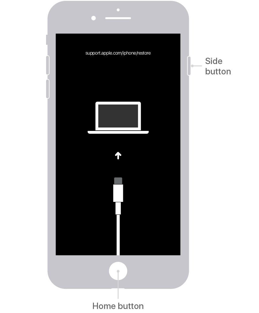 Gráfico de un iPhone 6S que muestra el botón de volumen y el puerto de carga para la conexión de iTunes.