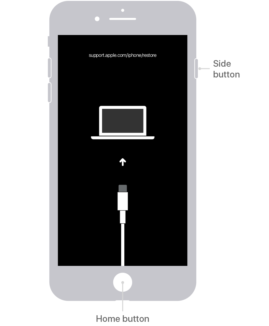 Graphic of an iPhone 6S displaying volume button and charge port for iTunes connection.