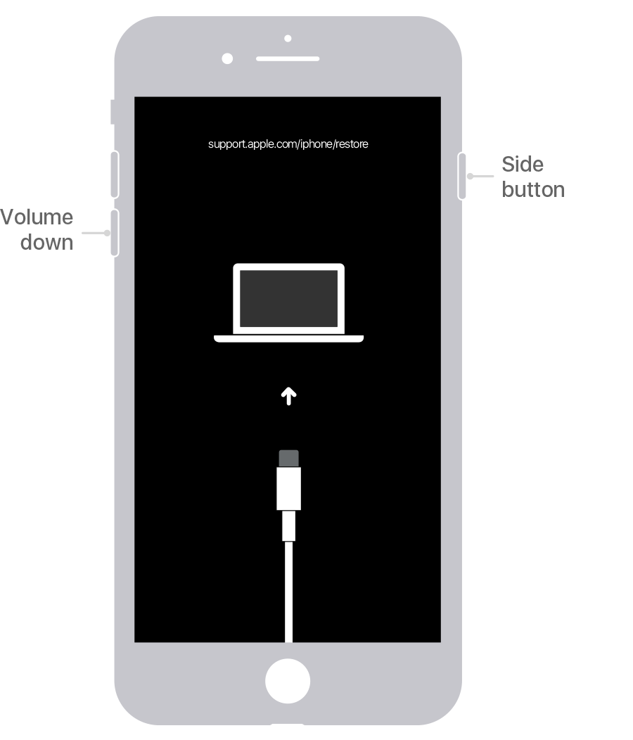 Graphic on an unlocked iphone 7 Plus displaying volume, side button and charger port controls.