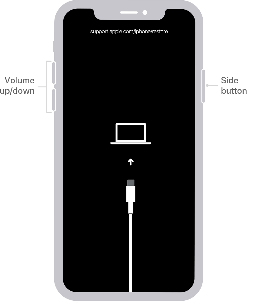 Grapic of an unlocked iPhone XS displaying volume and side button controls.